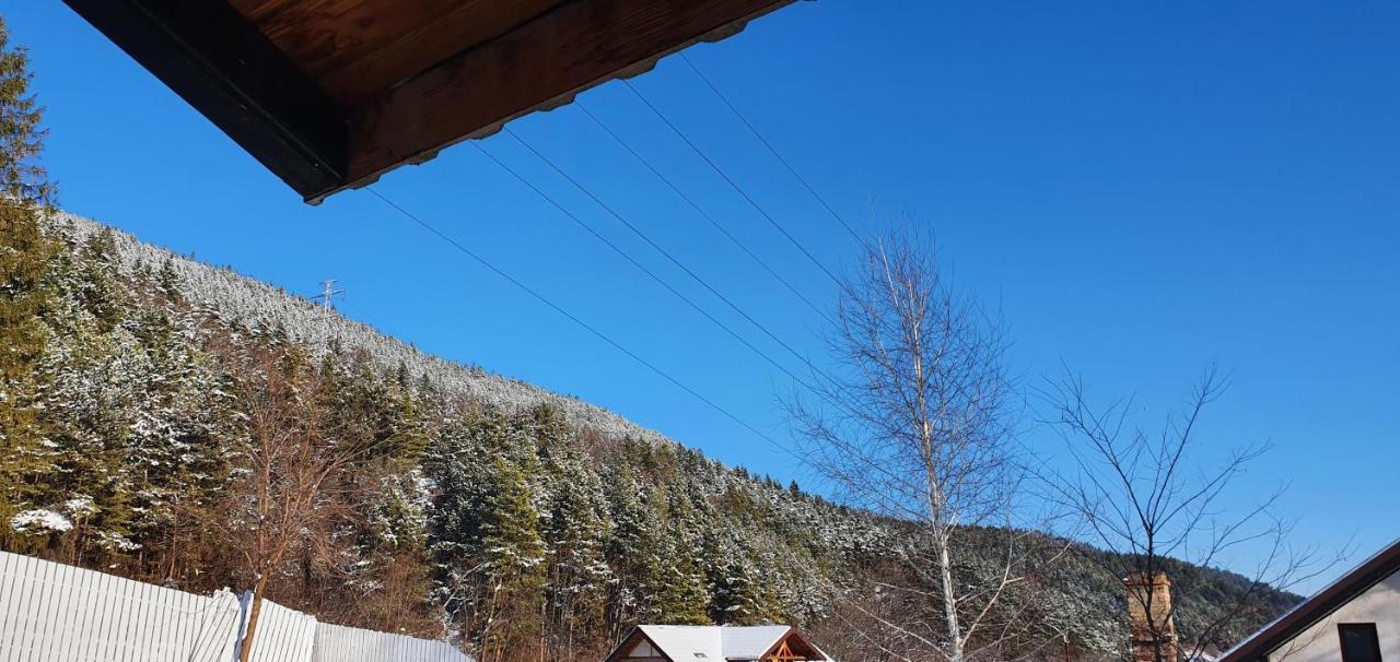 Casa Yla Villa Piatra Neamţ Esterno foto