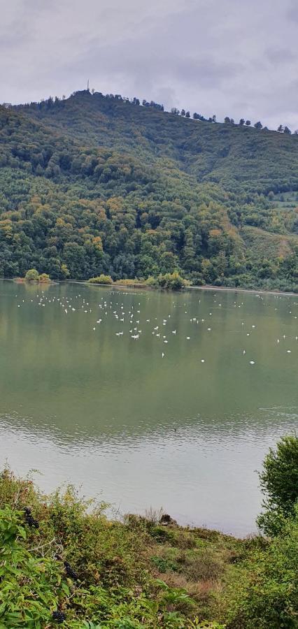 Casa Yla Villa Piatra Neamţ Esterno foto