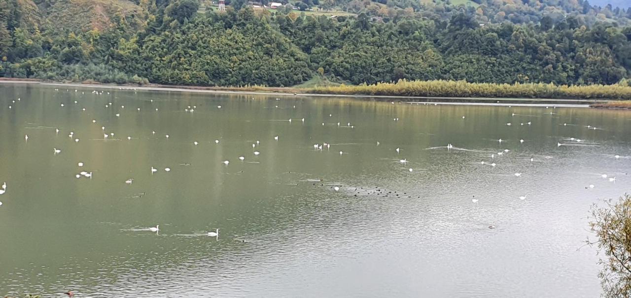 Casa Yla Villa Piatra Neamţ Esterno foto